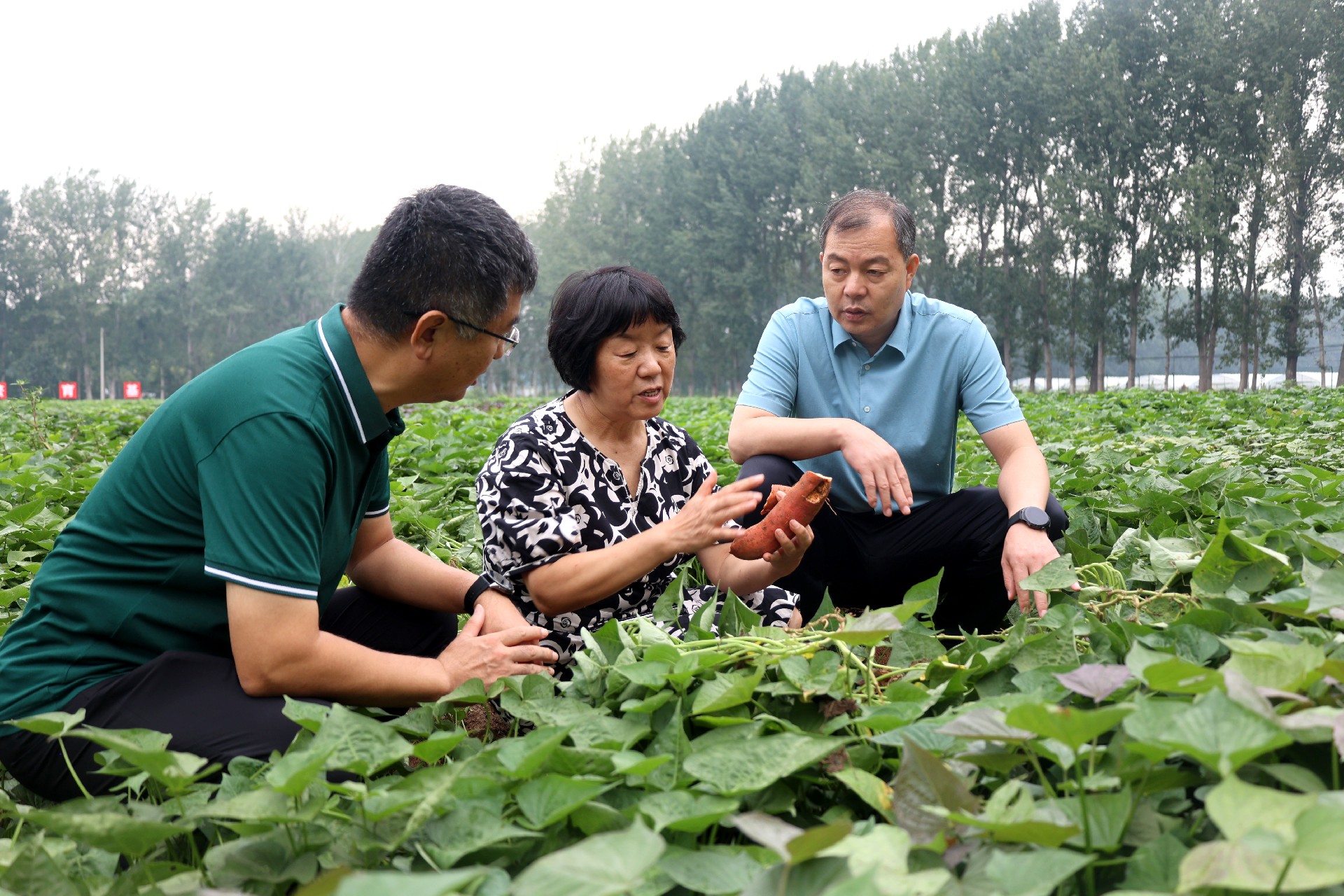 1757584973391878.jpg 微信圖片_20250911164156_33_53.jpg